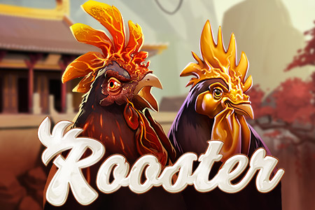 Rooster