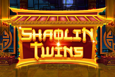 Shaolin Twins