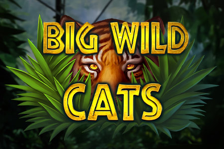 Big Wild Cats