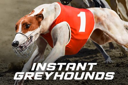 Instant Greyhounds