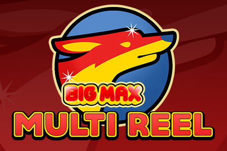 Big Max Multi Reel
