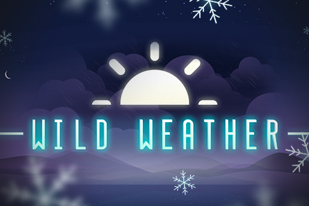 Wild weather