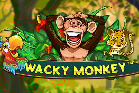 Wacky Monkey