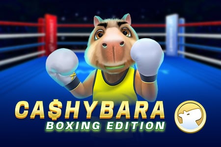 Cashybara Boxing Edition