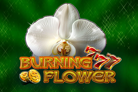 Burning Flower