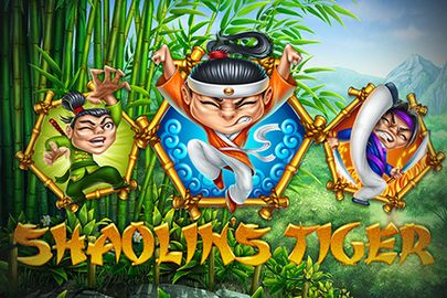 Shaolin's Tiger