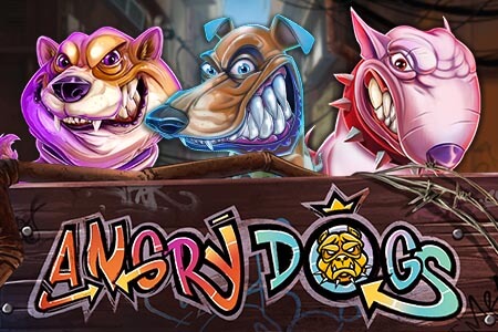 Angry Dogs