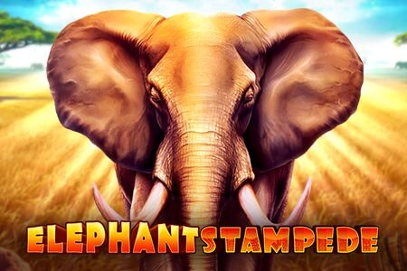 Elephant Stampede